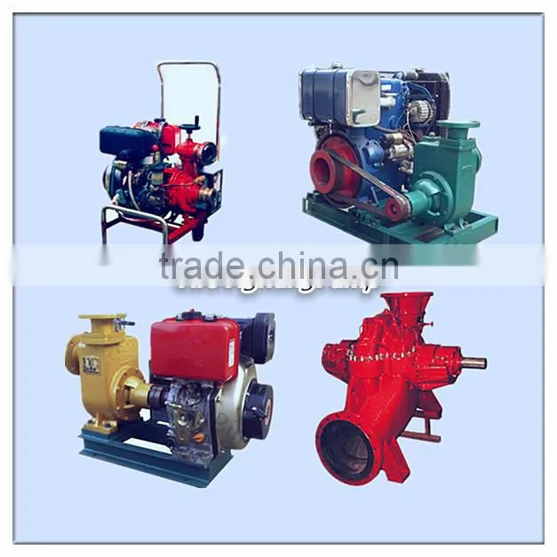 3000GPH 12v dc Small Electric Water Pump
