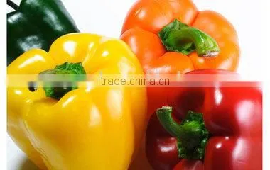 food spices dehydrated chilli with factory price