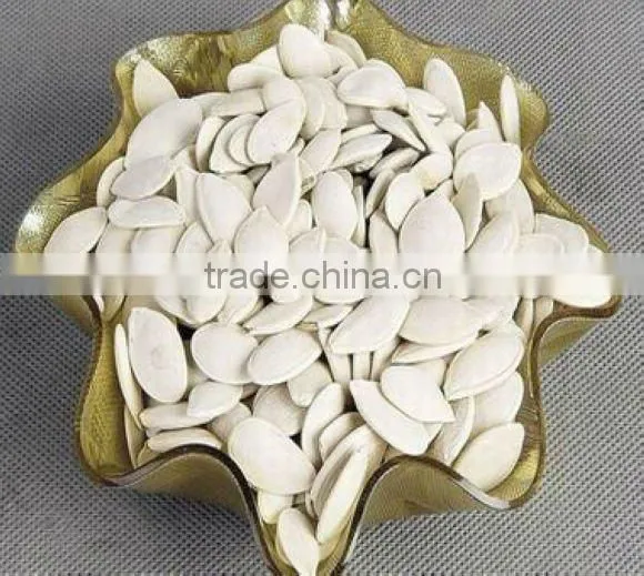 white pumpkin seeds
