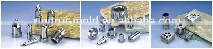 China plastic mold maker precision mold parts Injection Mold Parts