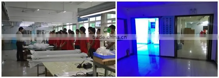 3 years warranty 18W G10Q 4pin LED 300mm circular Tube