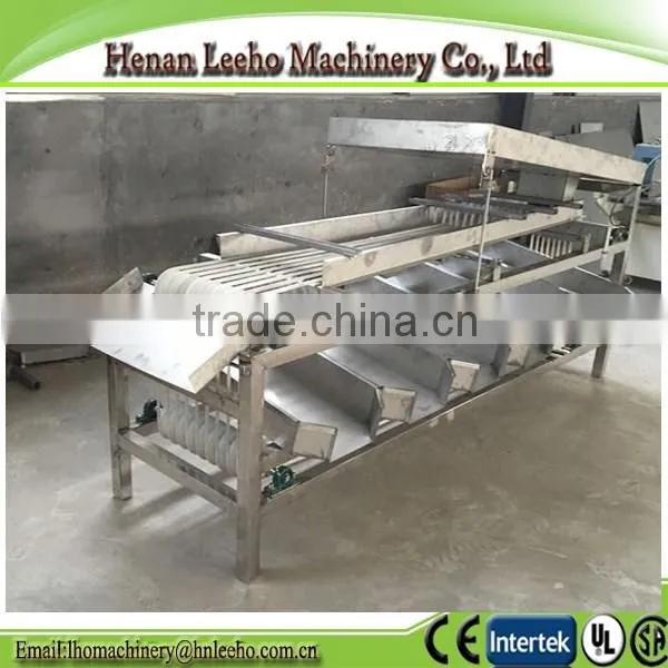 industrial dates size grader machine fruit processing equipment