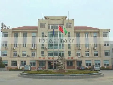 Nuclear Industry Yantai Tongxing Industrial Co., Ltd. company overview - view 1