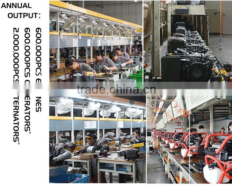 Small 13Hp Petrol/Gasoline Engine With Professional Assembly Line