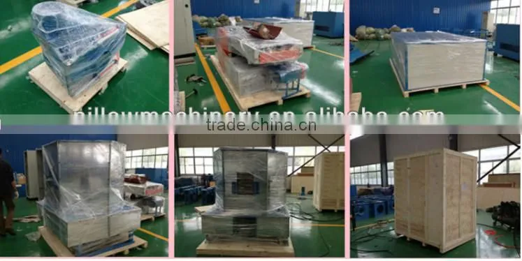 Quilt packing machine