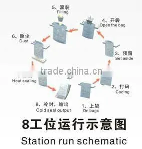 GD6-200A fulling automatic aseptic pouch packing machin