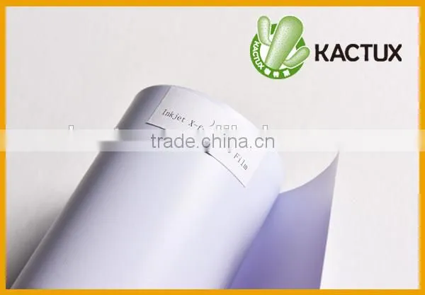 outdoor X-frame PVC roll up film