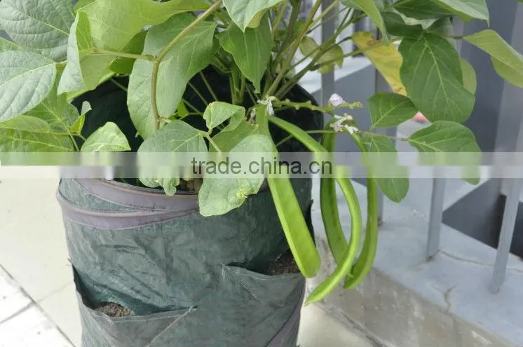 Vegetable planting bag, strawberry planting bag, potato planting bag