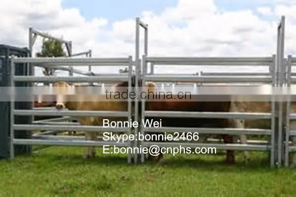 Cheap galvanized fence Prefab house(factory & trader)