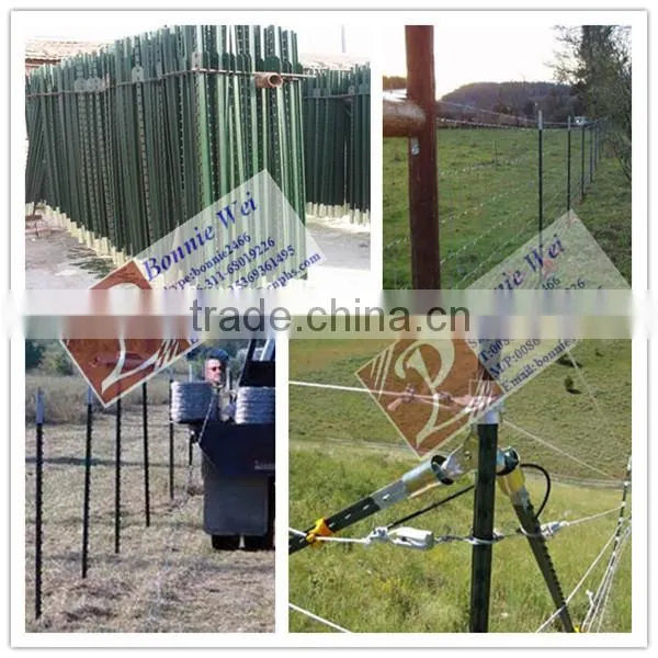 Barbed Wire Posts with Green painted (factory & trader)