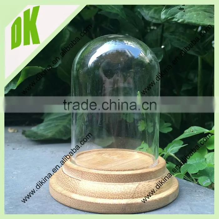 /good vintage condition / no chips or cracks in glass/clear glass bell Cloche with wood base