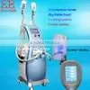 2017 Popular Portable Cryolipolysis Machine for home use
