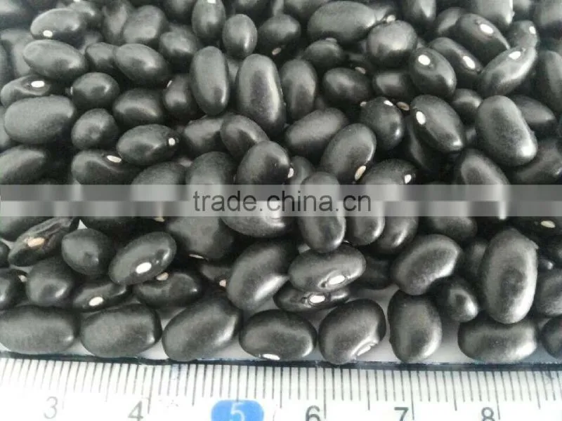 Chinese black kidney bean