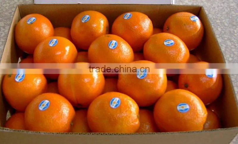 Best price navel orange.