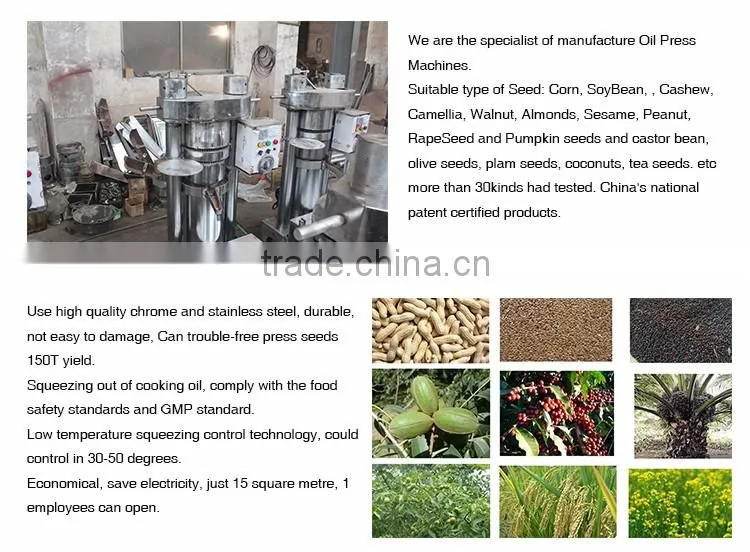 Best Selling Stainless Steel Olive Oil Pressing Machine