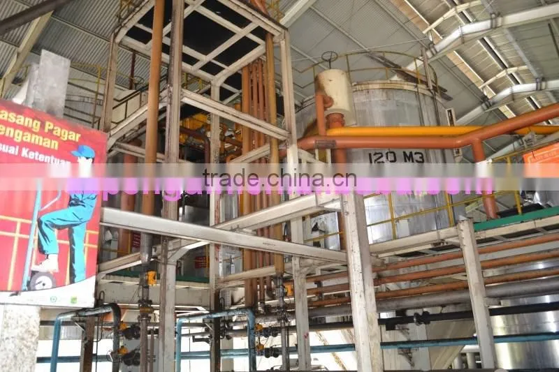 Most popular bottom price in Africa 40TPH palm oil equipment