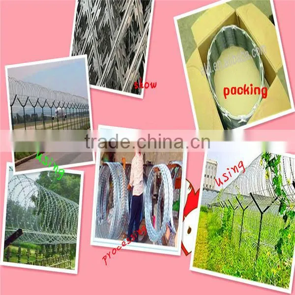 welded razor barbed wire (ISO9001 manufacturer)