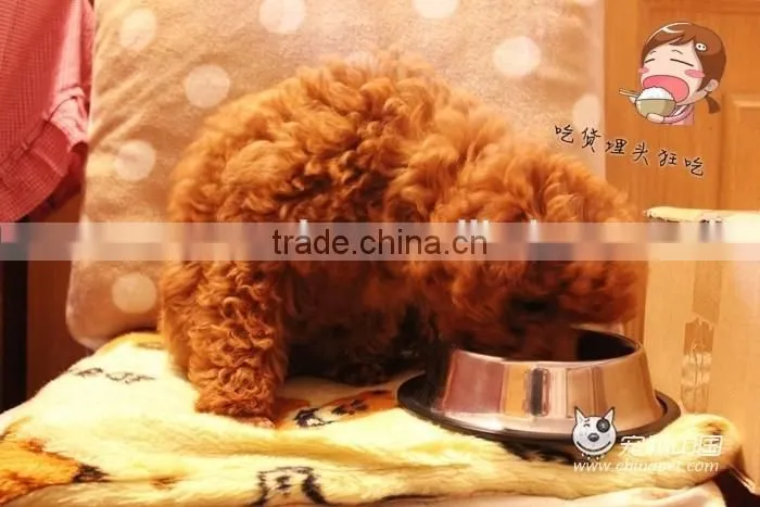 Pet food equipment of stainless steel full automatic
