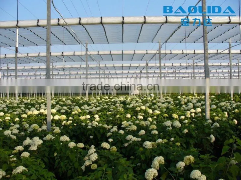 Factory price Polycarbonate cover steel pipe franmework fruit greenhouse