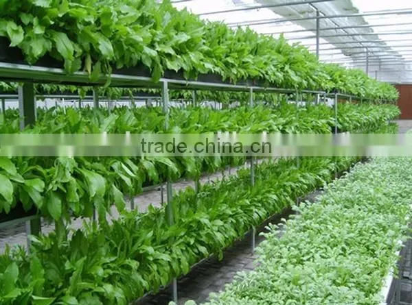 vertical farming hydroponic commercial system