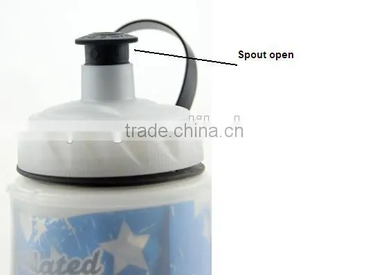 Insulated Water Bottle (650ml 22 oz) - 100% BPA-Free Water Bottle