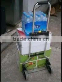 60kgs mini cart