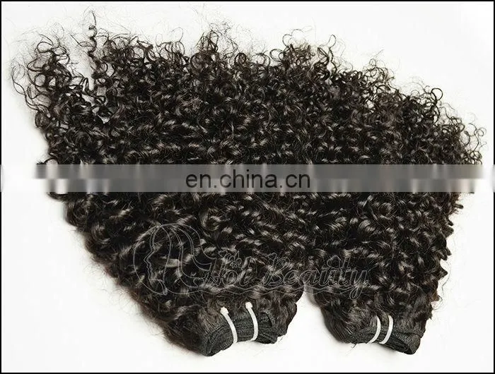100% Pure Brazilian Hair Weft Bohemian Afro Curly Hairstyles