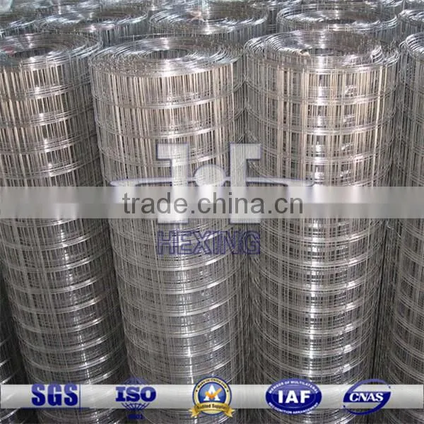 Galvanized Welded Wire Mesh(Direct manufacturer)
