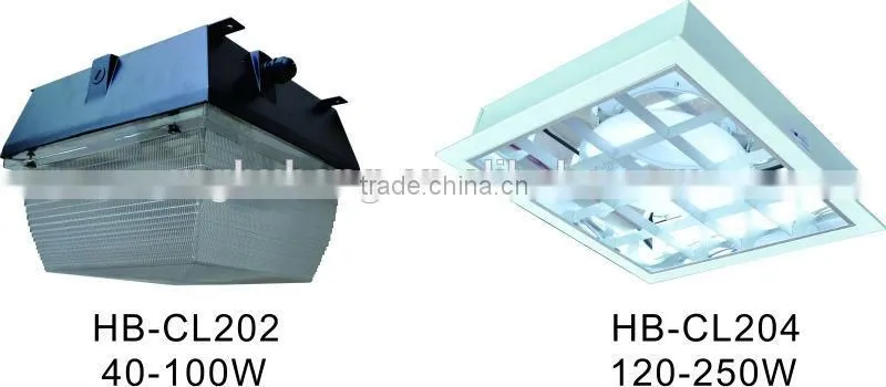 HB-DW201A 40w 60w low frequency induction ceiling lamp
