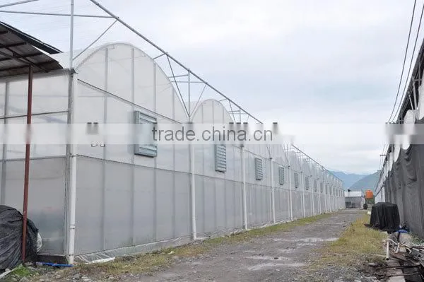 Hot Dipped Galvanized Film Green House