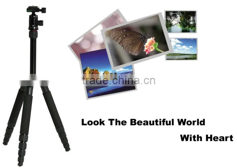cheap &good L Series Paragraph tripod Kit