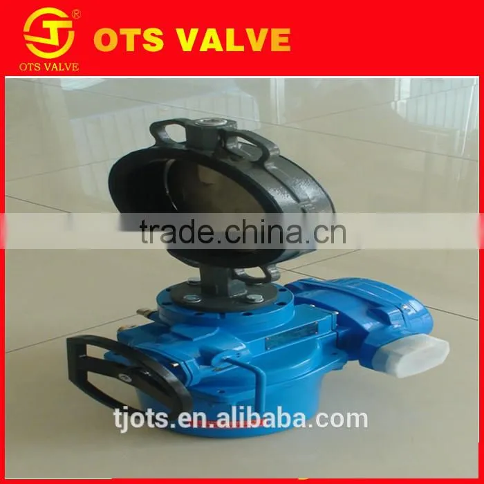 BV-DS024 API/CE/DIN/KS/JIS Desulfuration Electric Butterfly Valve