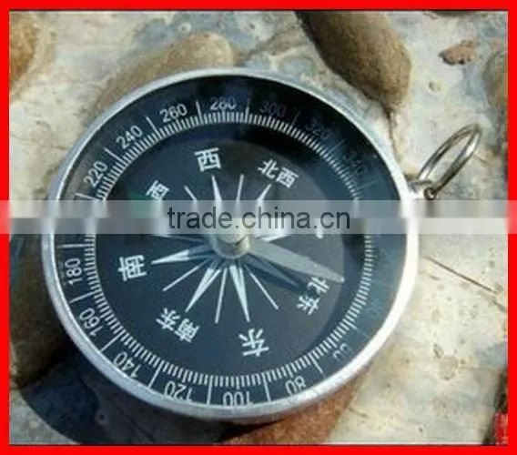 Miniature compass