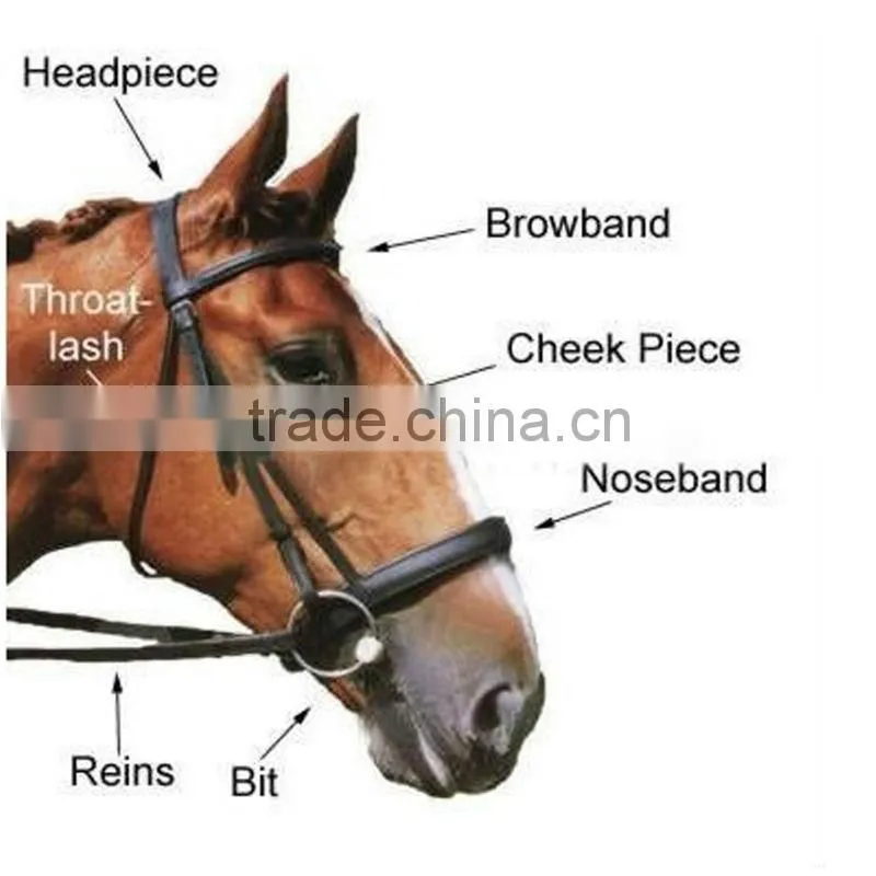 fantastic saddlery horse riding bridle