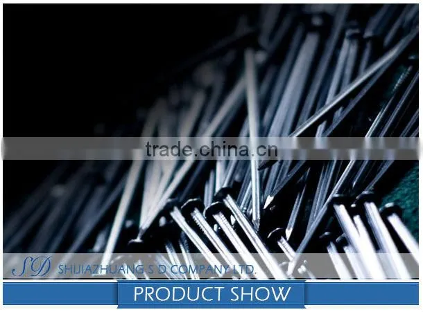 High quality nail from China supplier