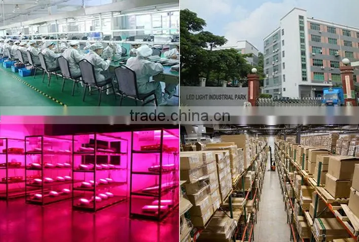 Hydroponic system 400w cob led grow light