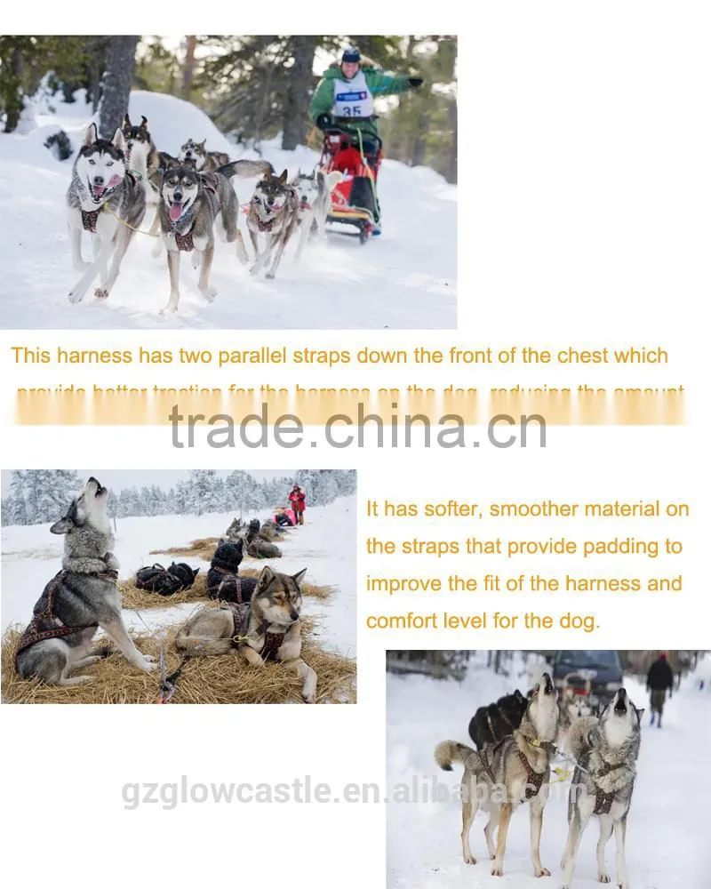 Wholesale Siberian Race harness