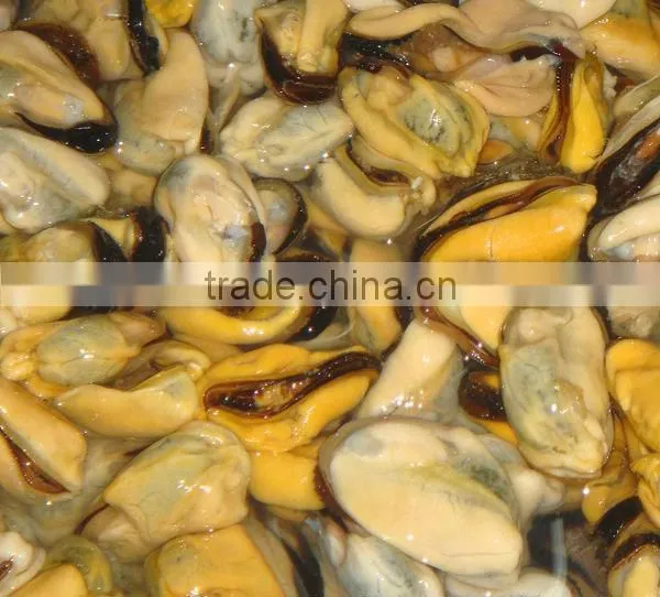 frozen boiled blue mussel meat 300-500