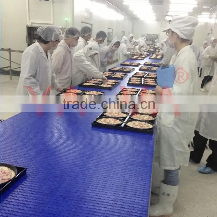 food grade flexlink chain conveyor for food transfer
