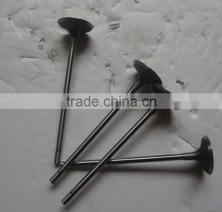 High Quality Chevrolet Cruze Intake Valve 55557862