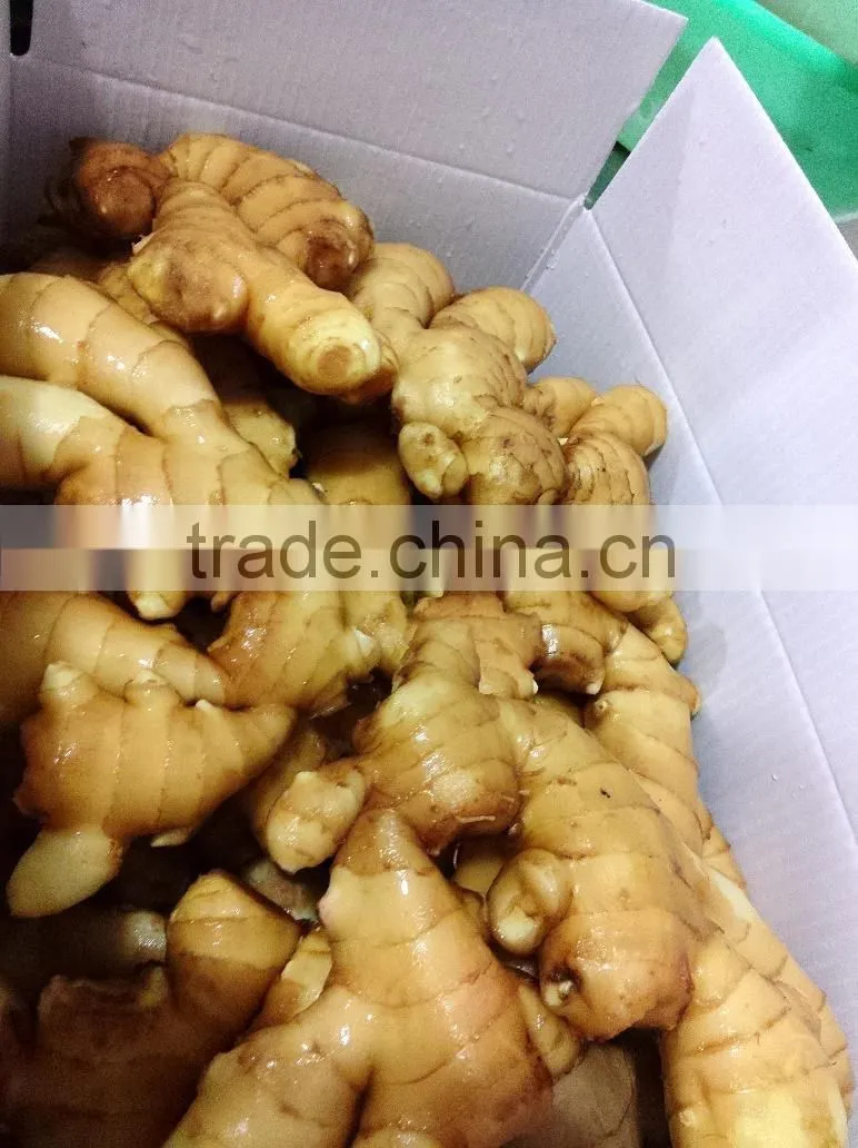 Chinese Fresh ginger High quality