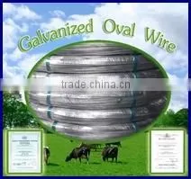 2.4*3.0mm Galvanized Oval wire(factory in China)