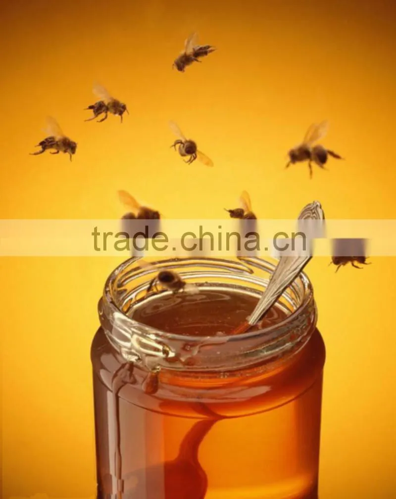 red date honey