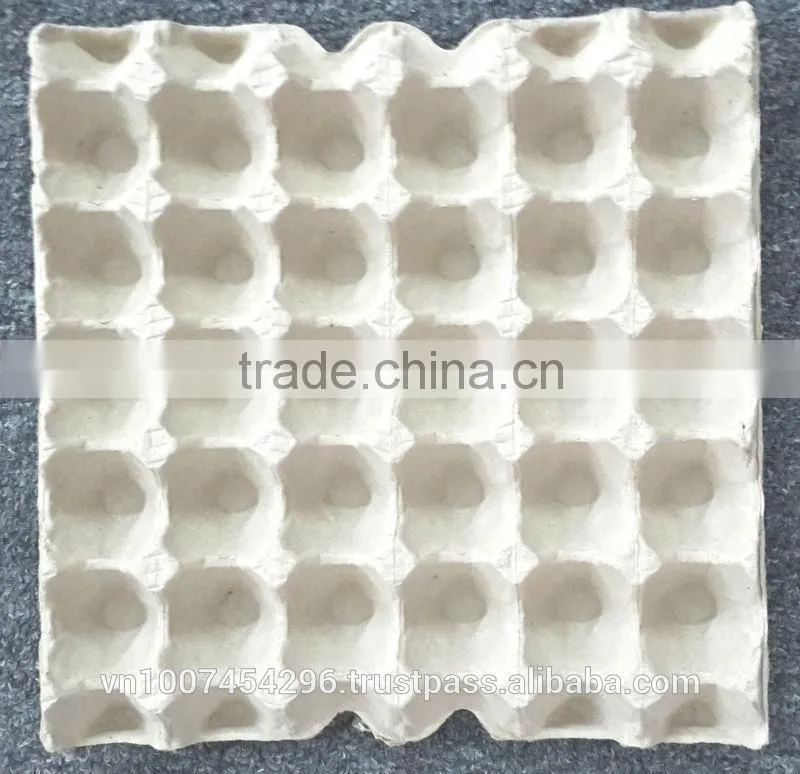 EGG TRAY