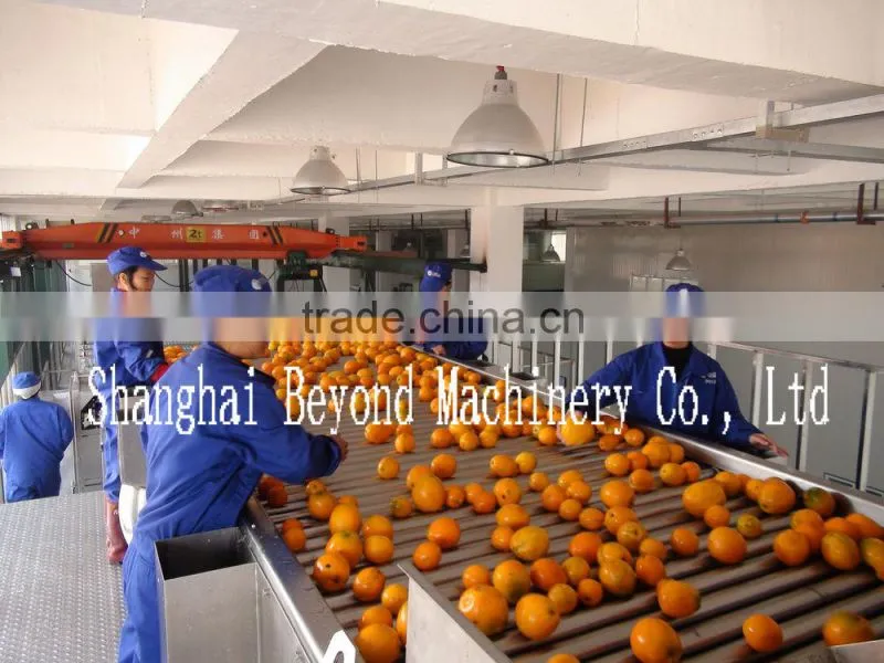 200 tons per day automatic Orange citrus processing line fruit juice production line