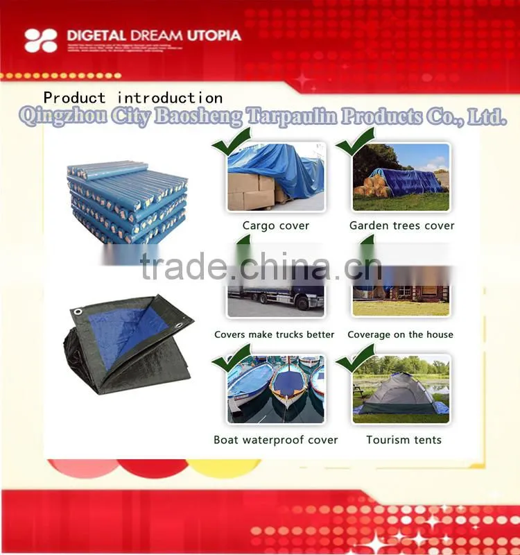Home storage bag PlastIc bag Multipurpose pe plastic bag