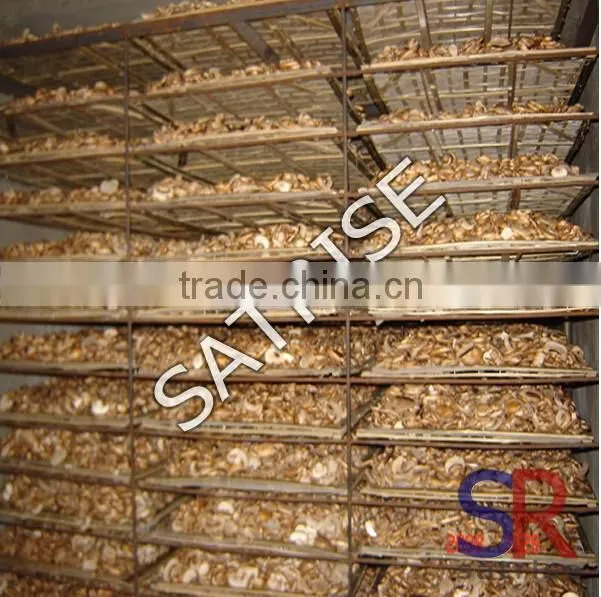 Best Selling Mushroom/pepper/nut drying machine Price