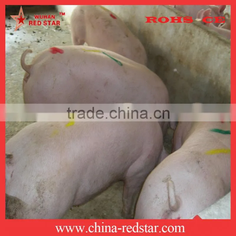 Animal Marking Sticks Veterinary Equipment