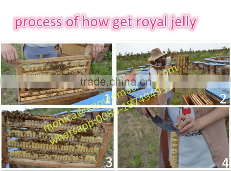 Best Royal Jelly Price/Manufacturer Supply Fresh Royal Jelly