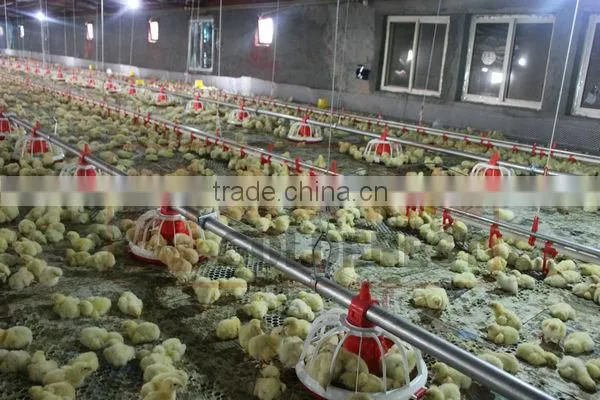 poultry farm feeding equipment